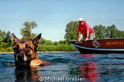 The "victims" view of water rescue/cadaver dog training n... by Michael Grebler 